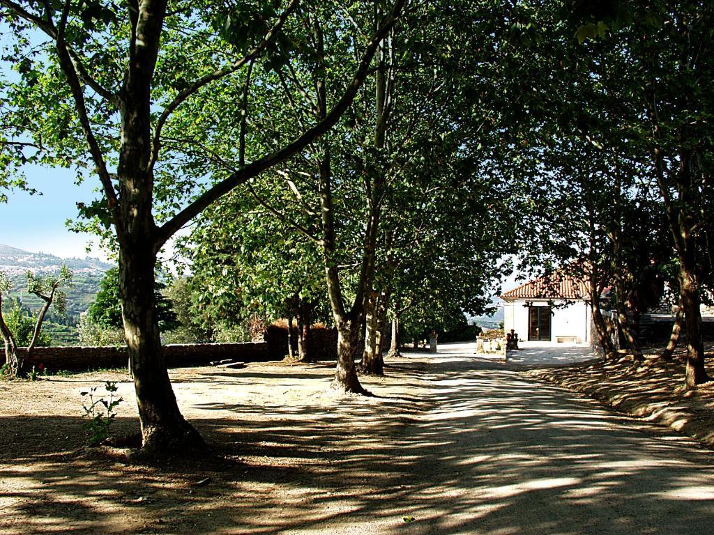 Casa De Vilarinho De S. Romao Hotel Sabrosa Exterior foto